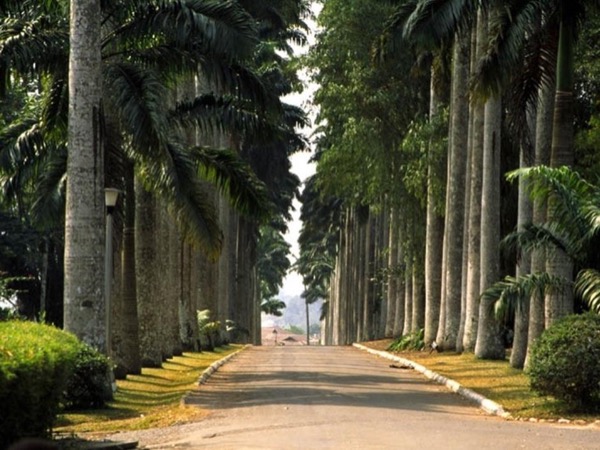 Ghana Botanical Garden